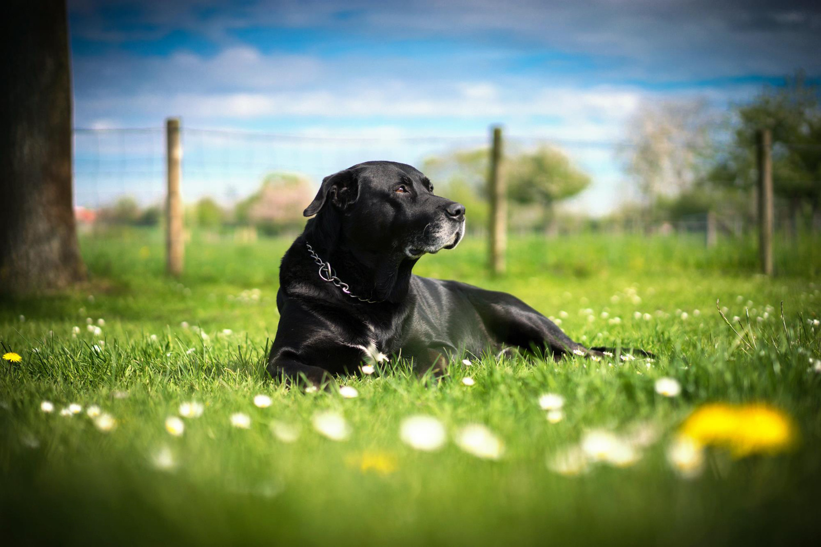 12633468 504796313035963 3144414377165019714 o