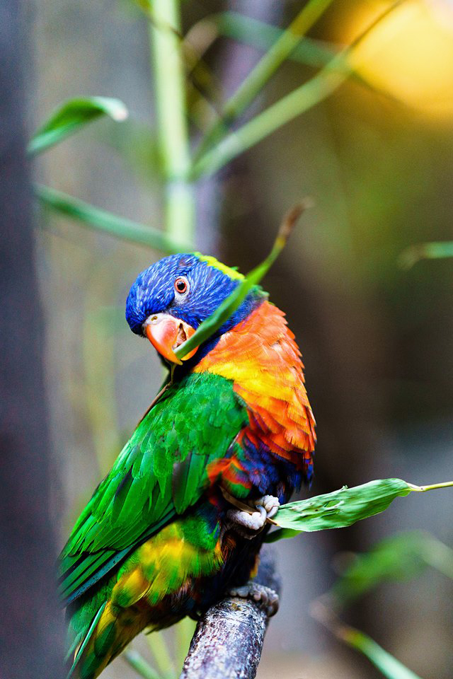 18268288 724834571032135 8755334134067033953 n