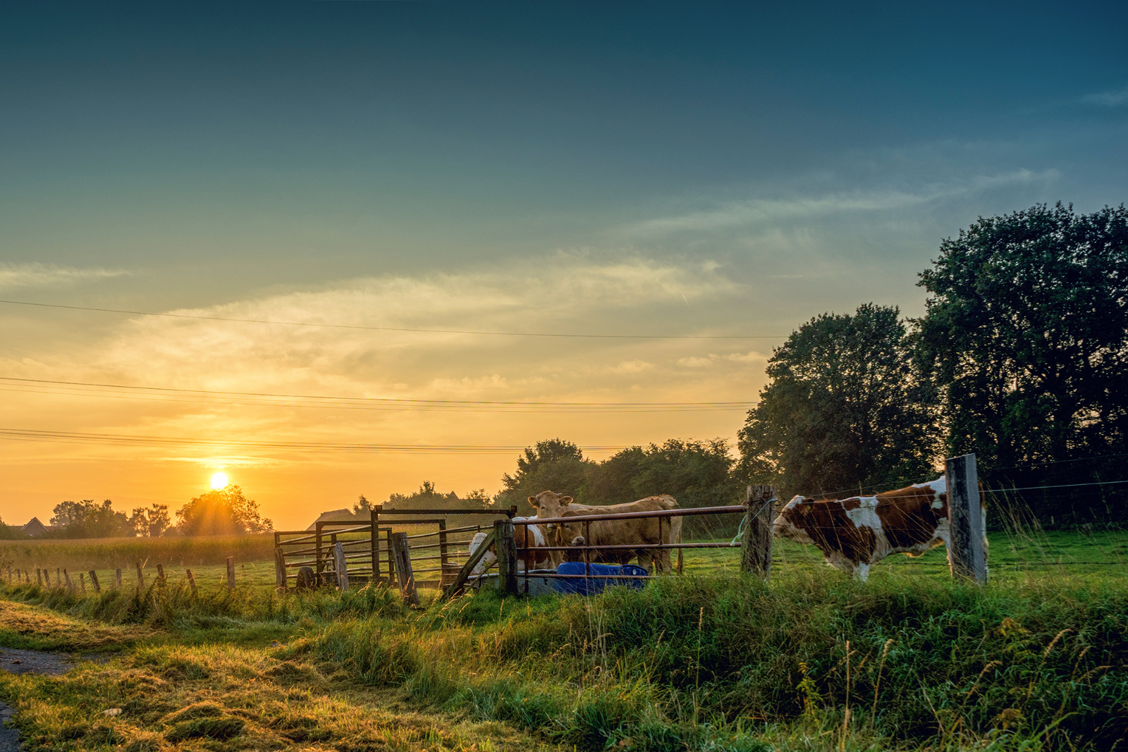 DSC03580 HDR print web