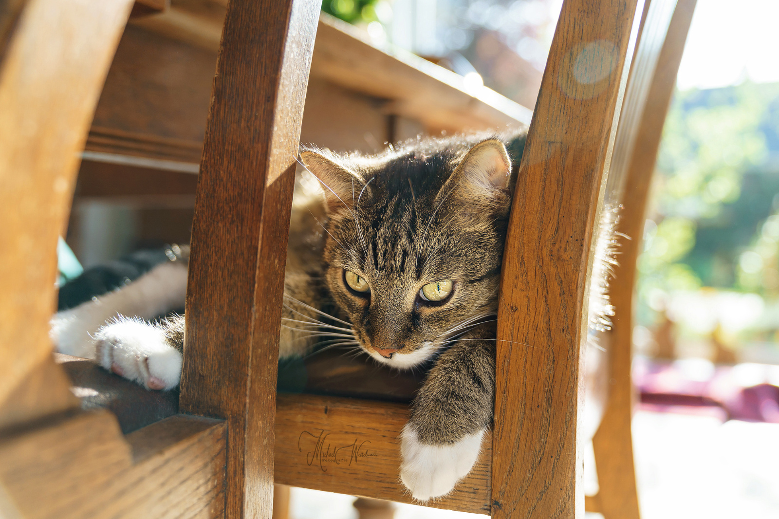 DSC08170 web web web